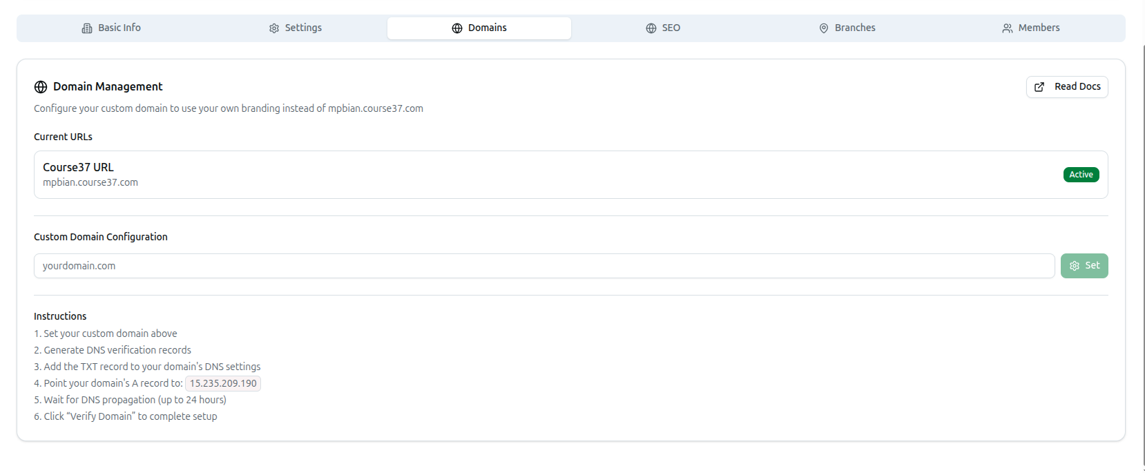 The Domains tab showing current URLs, custom domain configuration, and DNS verification