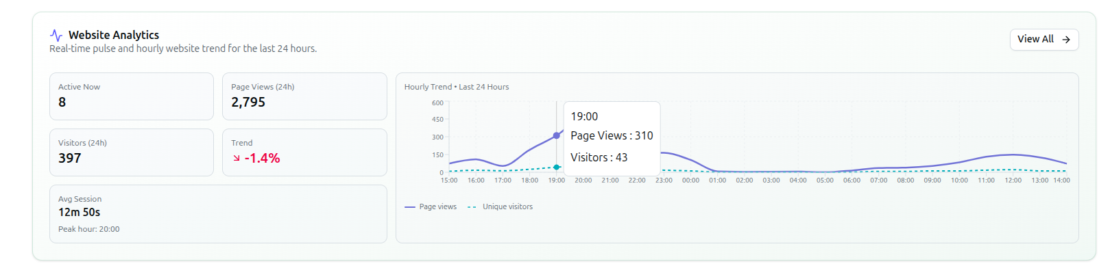 Screenshot of the Website Analytics card zoomed in, showing Active Now, Page Views, Visitors, Trend, Avg Session tiles and the hourly chart with a tooltip